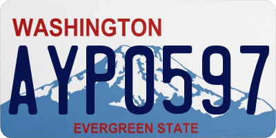 WA license plate AYP0597