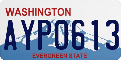 WA license plate AYP0613