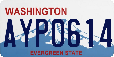 WA license plate AYP0614