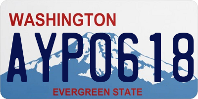 WA license plate AYP0618