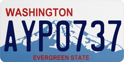 WA license plate AYP0737
