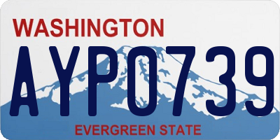 WA license plate AYP0739