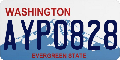 WA license plate AYP0828