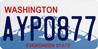 WA license plate AYP0877