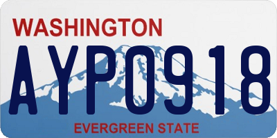 WA license plate AYP0918