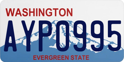 WA license plate AYP0995