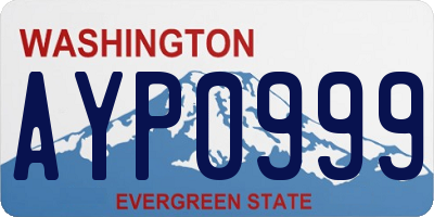 WA license plate AYP0999