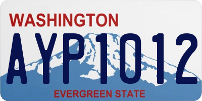 WA license plate AYP1012