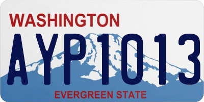 WA license plate AYP1013