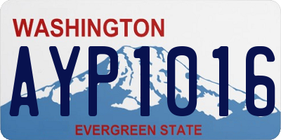 WA license plate AYP1016