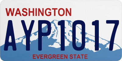 WA license plate AYP1017