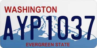 WA license plate AYP1037