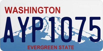 WA license plate AYP1075