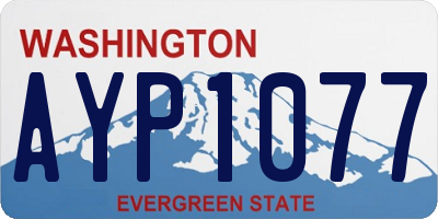 WA license plate AYP1077