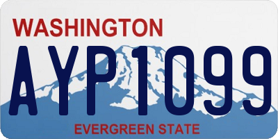 WA license plate AYP1099