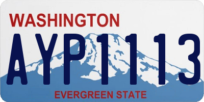 WA license plate AYP1113