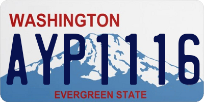 WA license plate AYP1116