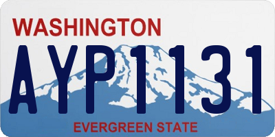 WA license plate AYP1131