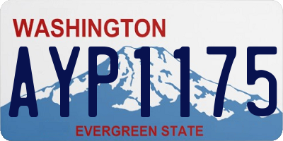 WA license plate AYP1175