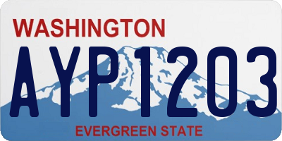WA license plate AYP1203