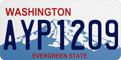 WA license plate AYP1209