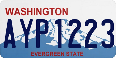 WA license plate AYP1223