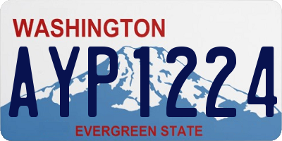WA license plate AYP1224