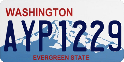 WA license plate AYP1229