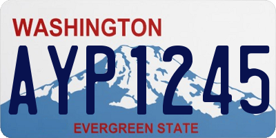 WA license plate AYP1245