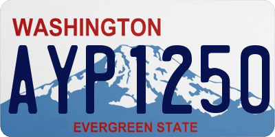WA license plate AYP1250
