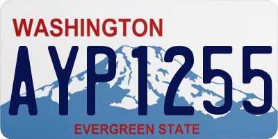 WA license plate AYP1255
