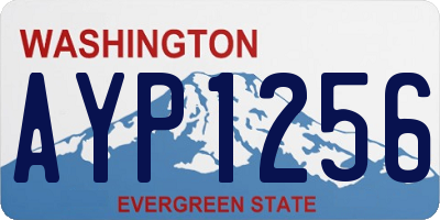 WA license plate AYP1256