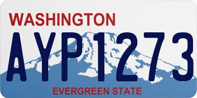 WA license plate AYP1273