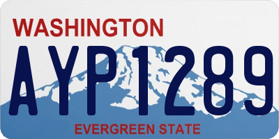 WA license plate AYP1289