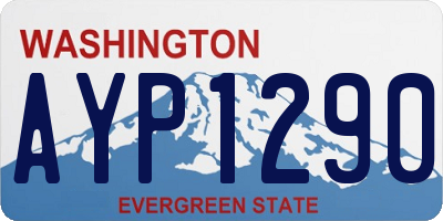 WA license plate AYP1290