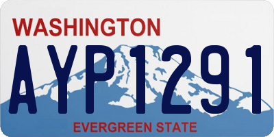 WA license plate AYP1291