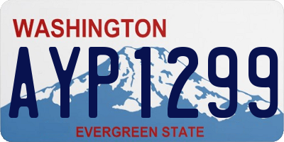 WA license plate AYP1299