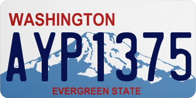 WA license plate AYP1375