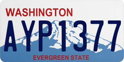 WA license plate AYP1377