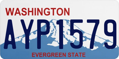 WA license plate AYP1579