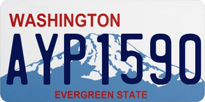 WA license plate AYP1590