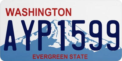 WA license plate AYP1599