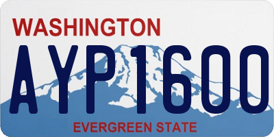 WA license plate AYP1600