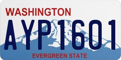 WA license plate AYP1601