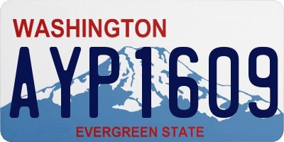 WA license plate AYP1609