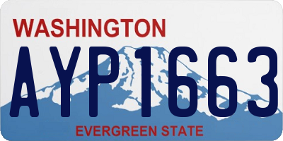 WA license plate AYP1663