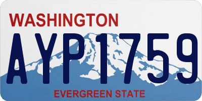 WA license plate AYP1759