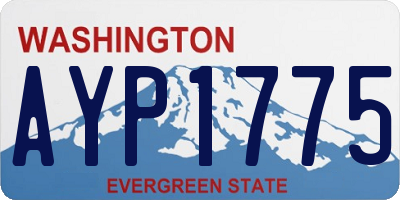 WA license plate AYP1775