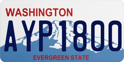 WA license plate AYP1800