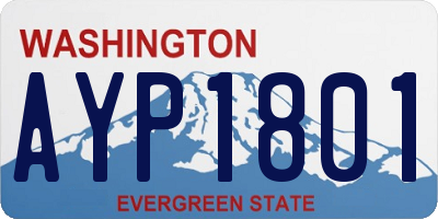 WA license plate AYP1801